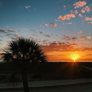 Meet your Posher, Ella